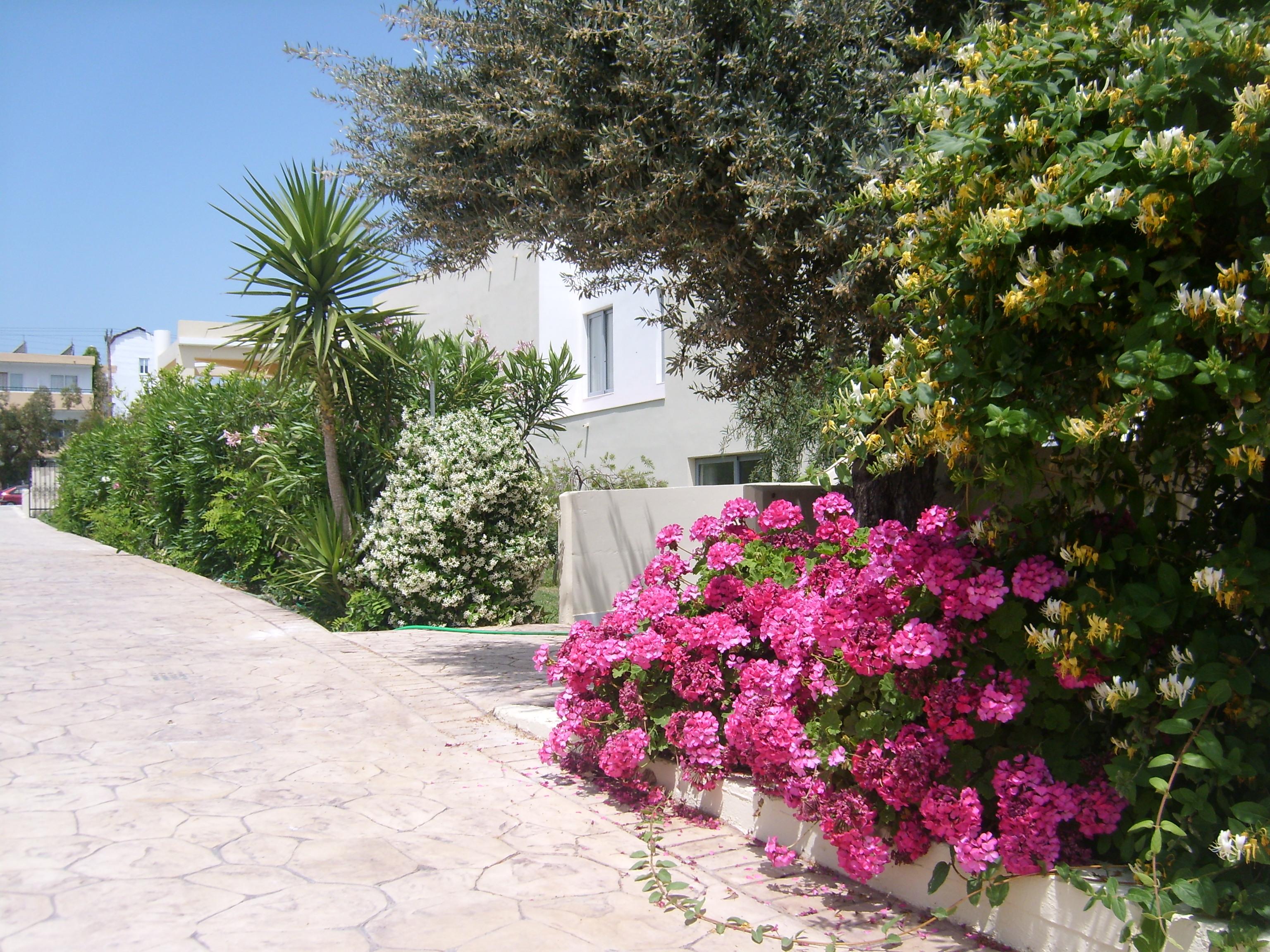 Hotel Memphis Kolymbia